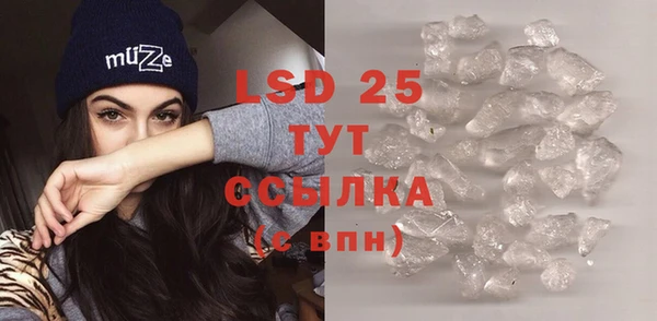 шишки Балахна