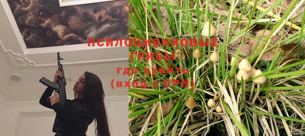 шишки Балахна