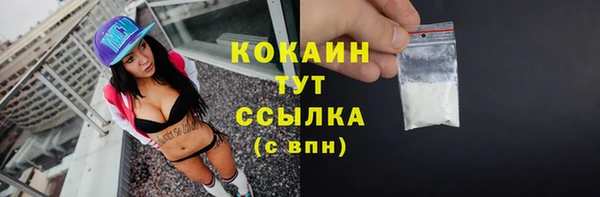 шишки Балахна