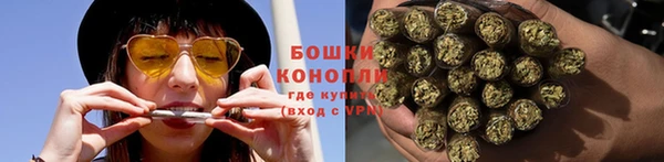 шишки Балахна