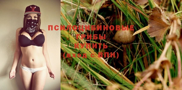 шишки Балахна